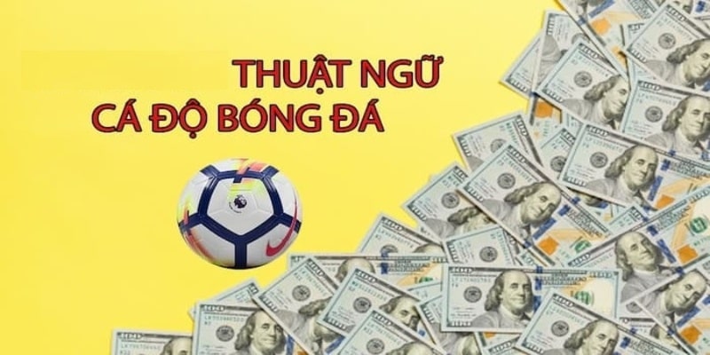 Một số thuật ngữ khác trong thể thao