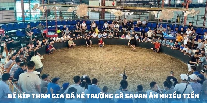 Nắm chắc phương pháp ghi danh đá gà chiến tại sàn savan