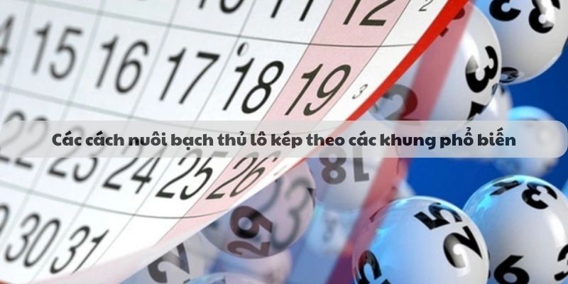 Các cách nuôi bạch thủ lô kép theo các khung phổ biến