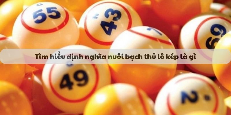 Tìm hiểu định nghĩa nuôi bạch thủ lô kép là gì?