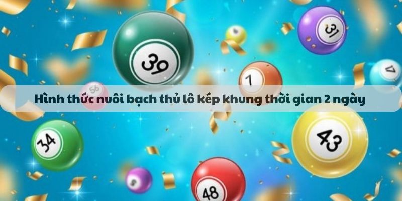 Hình thức nuôi bạch thủ lô kép khung thời gian 2 ngày 